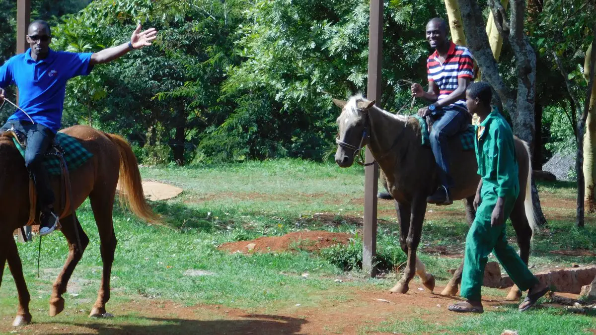 Horse Riding in Nairobi