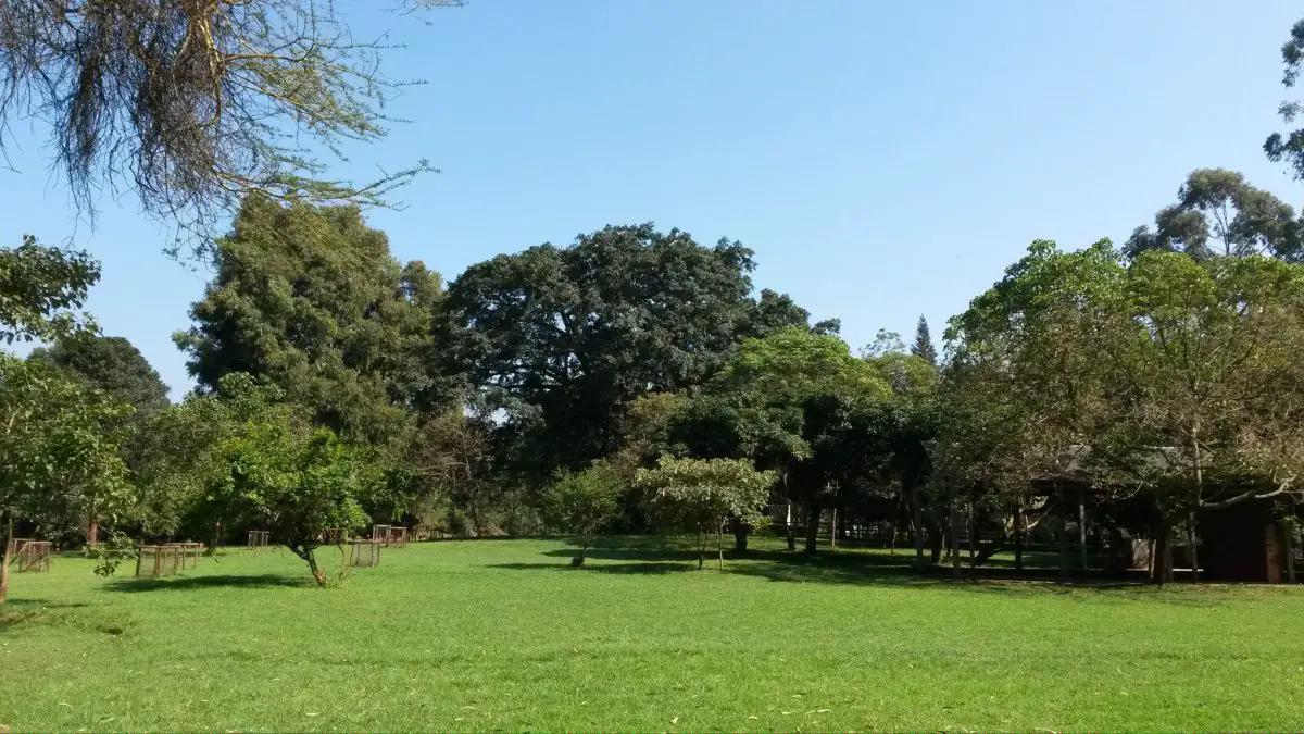 Nature walks in Nairobi